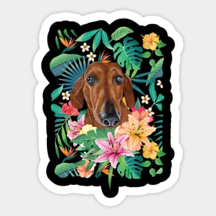 Tropical Brown Dachshund Doxie 1 Sticker